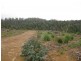 . Roger River Road, Roger River TAS 7330