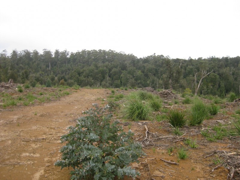 . Roger River Road, Roger River TAS 7330