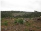 . Roger River Road, Roger River TAS 7330