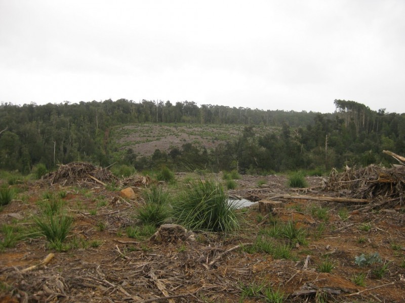. Roger River Road, Roger River TAS 7330