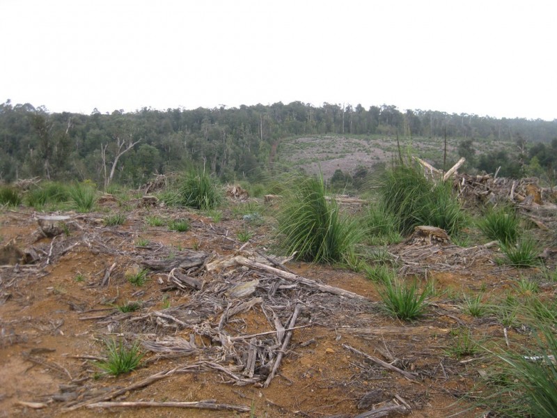 . Roger River Road, Roger River TAS 7330