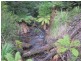 . Roger River Road, Roger River TAS 7330