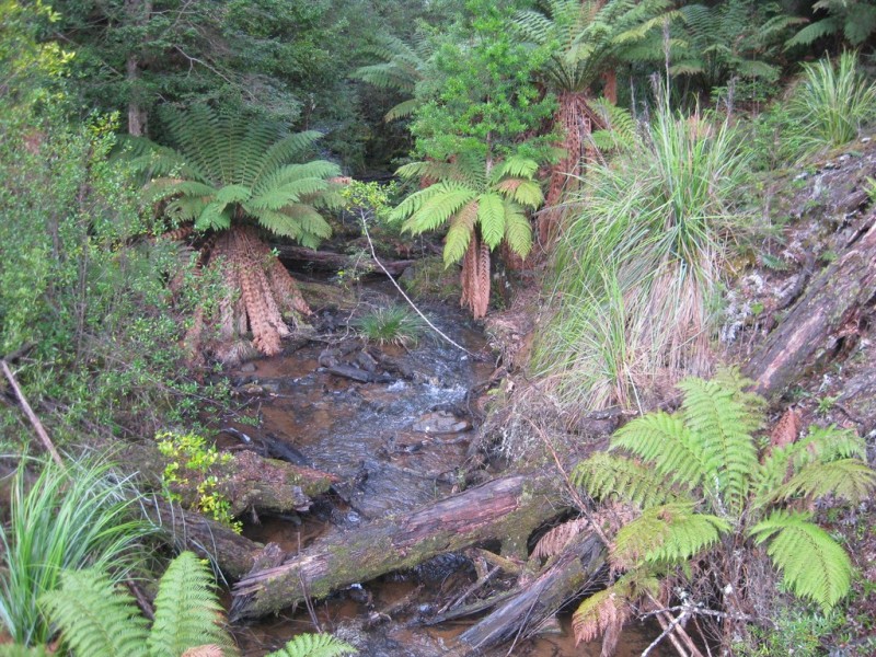 . Roger River Road, Roger River TAS 7330