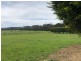 31 Bischoffs Road, Pegarah TAS 7256