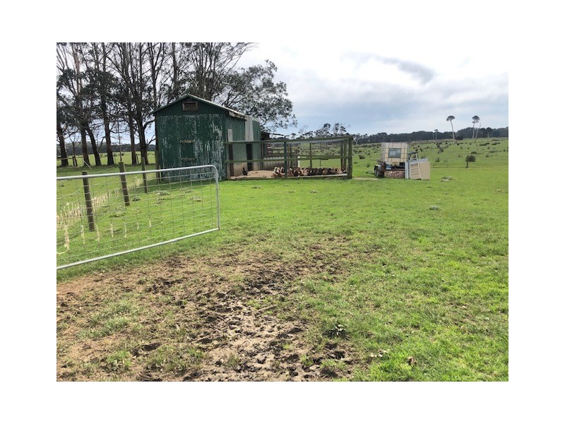 31 Bischoffs Road, Pegarah TAS 7256