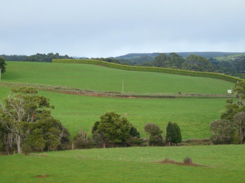 160 Ringle Doddy Road, South Forest TAS 7330