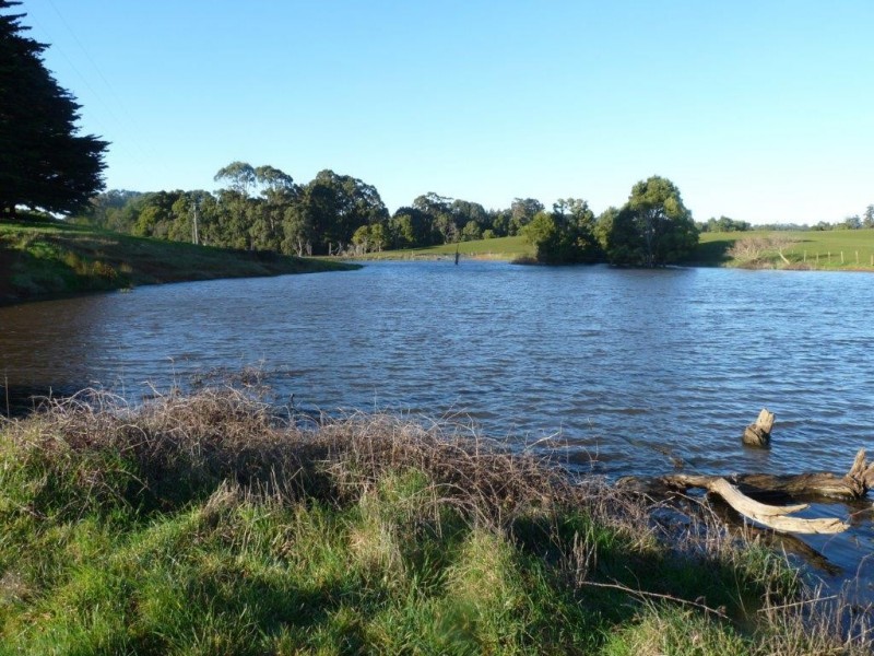 160 Ringle Doddy Road, South Forest TAS 7330