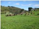 611 Irishtown Road, Irishtown TAS 7330