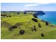 66 Table Cape Road, Wynyard TAS 7325