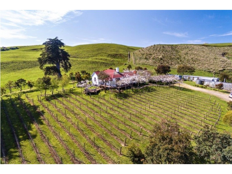 66 Table Cape Road, Wynyard TAS 7325