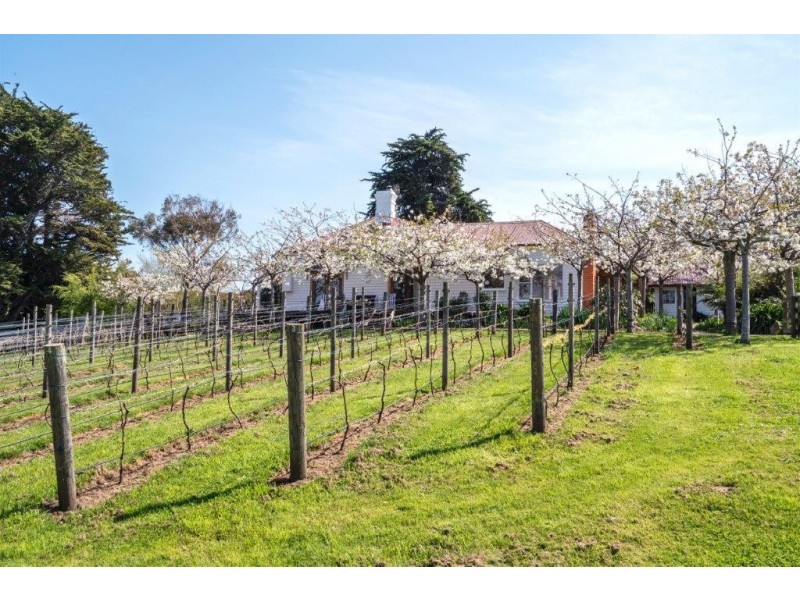 66 Table Cape Road, Wynyard TAS 7325