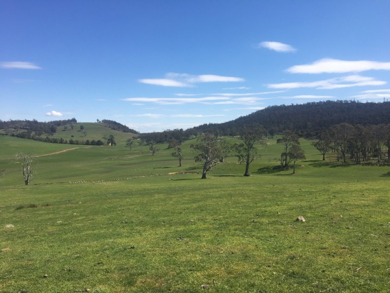 1307 Inglewood Road, Andover TAS 7120