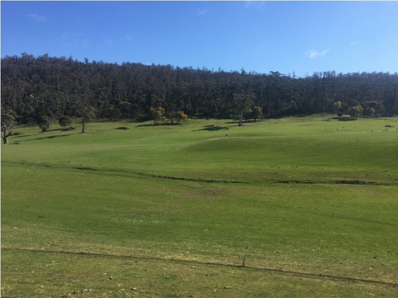 1307 Inglewood Road, Andover TAS 7120