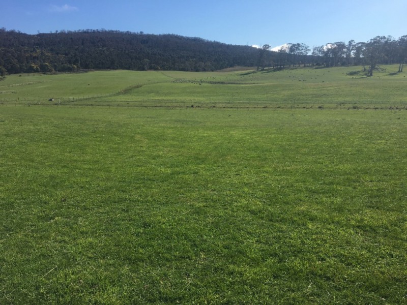 1307 Inglewood Road, Andover TAS 7120