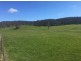 1307 Inglewood Road, Andover TAS 7120