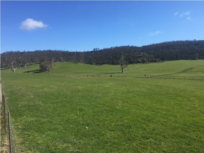 1307 Inglewood Road, Andover TAS 7120