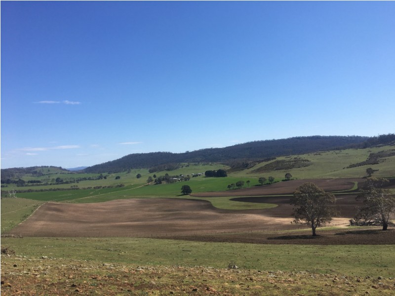1307 Inglewood Road, Andover TAS 7120