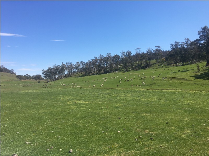 1307 Inglewood Road, Andover TAS 7120