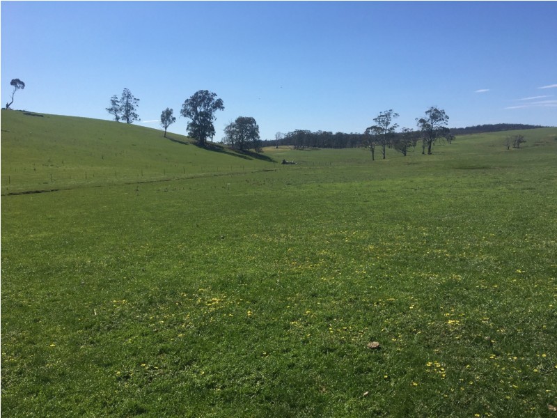 1307 Inglewood Road, Andover TAS 7120