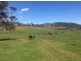 1307 Inglewood Road, Andover TAS 7120