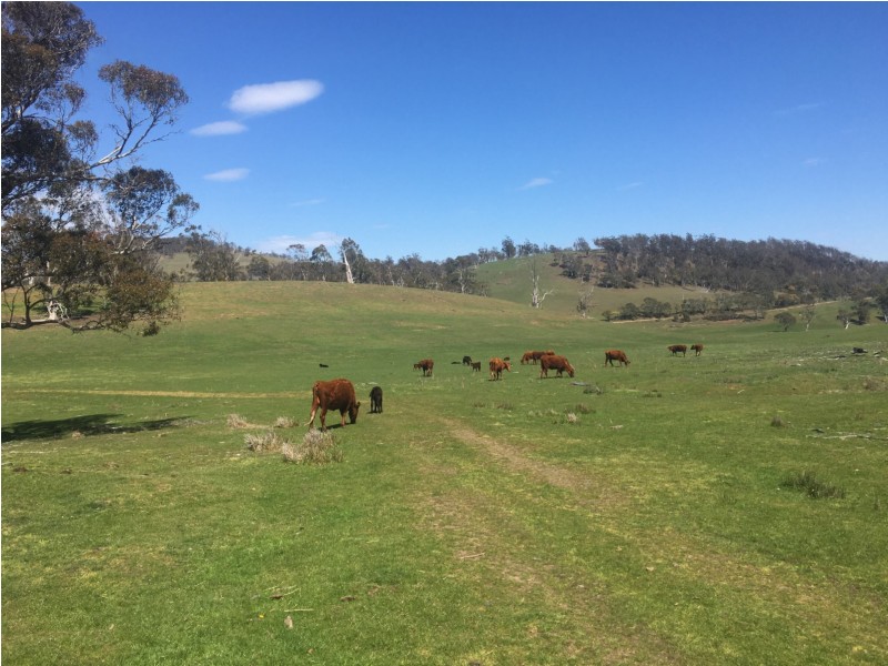 1307 Inglewood Road, Andover TAS 7120