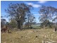 1307 Inglewood Road, Andover TAS 7120
