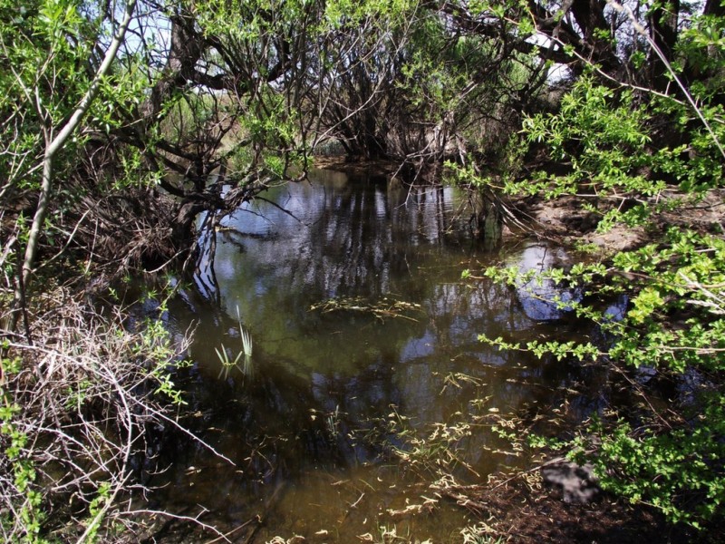 Lot 1 Black Brush Road, Mangalore TAS 7030