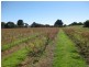61 Rawlings Road, Lileah TAS 7330