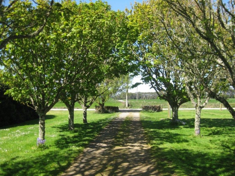 61 Rawlings Road, Lileah TAS 7330