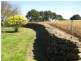 61 Rawlings Road, Lileah TAS 7330