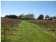 61 Rawlings Road, Lileah TAS 7330