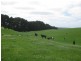 27028 Bass Highway, Redpa TAS 7330