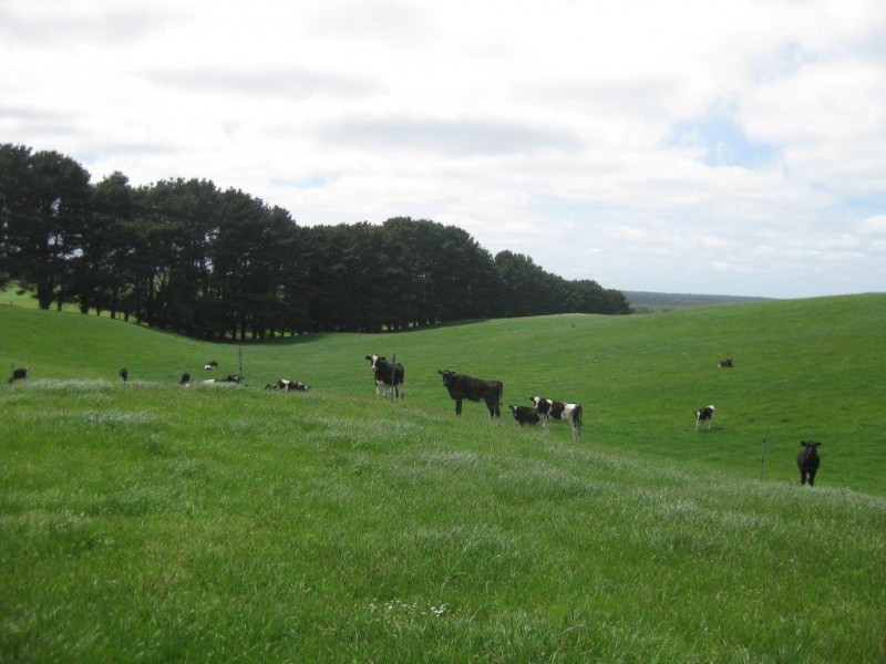 27028 Bass Highway, Redpa TAS 7330