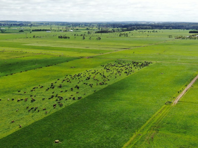 23239 Bass Hwy 125 Innes Rd 235 Hardmans Rd Nicholls Rd, Smithton TAS 7330