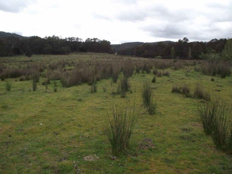 8275 Channel Highway, Cradoc TAS 7109