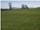 5208 Bass Highway, Deloraine TAS 7304