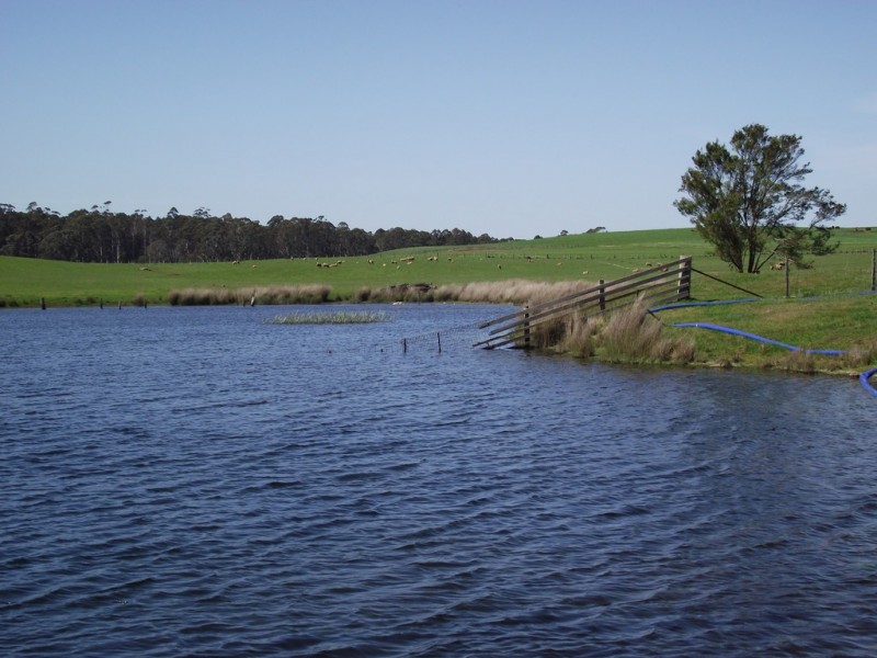 5208 Bass Highway, Deloraine TAS 7304