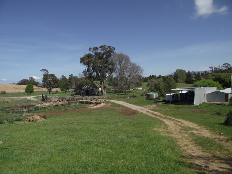 5208 Bass Highway, Deloraine TAS 7304