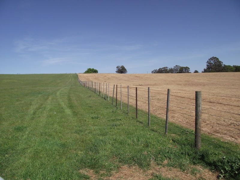 5208 Bass Highway, Deloraine TAS 7304