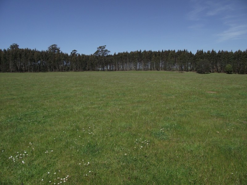 5208 Bass Highway, Deloraine TAS 7304