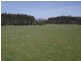 5208 Bass Highway, Deloraine TAS 7304