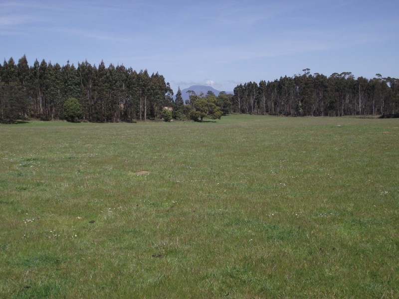 5208 Bass Highway, Deloraine TAS 7304