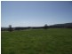 5208 Bass Highway, Deloraine TAS 7304