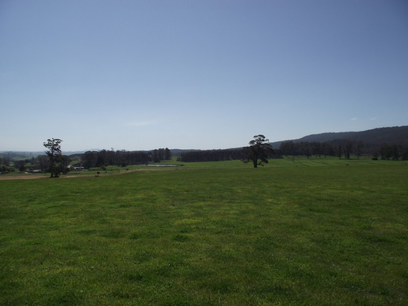 5208 Bass Highway, Deloraine TAS 7304