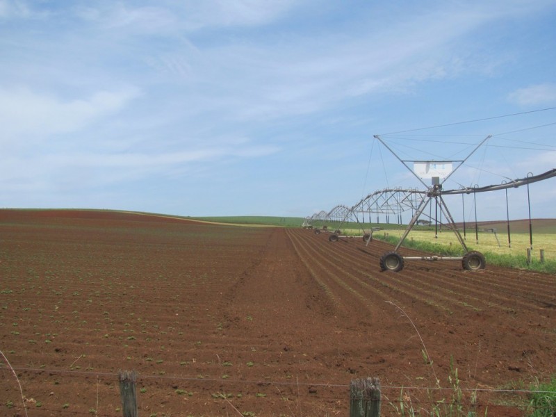 52 Valley Field Road, Sassafras TAS 7307