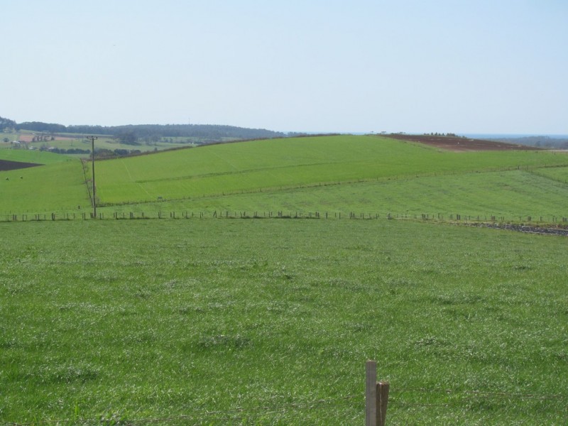 52 Valley Field Road, Sassafras TAS 7307