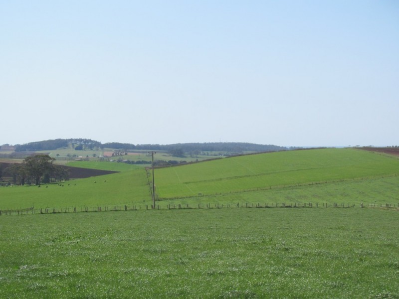 52 Valley Field Road, Sassafras TAS 7307