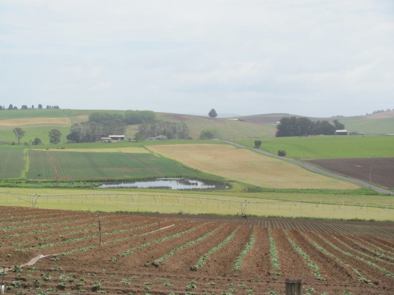 52 Valley Field Road, Sassafras TAS 7307