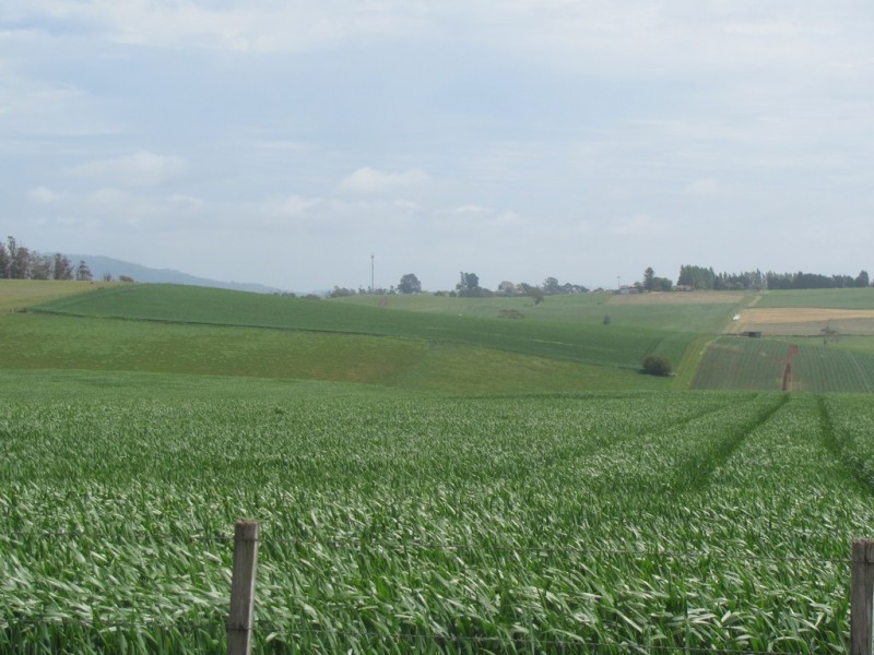 52 Valley Field Road, Sassafras TAS 7307