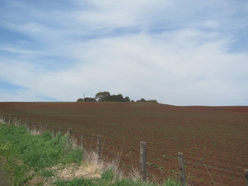 52 Valley Field Road, Sassafras TAS 7307